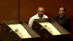 Argentina estuvo presente en la audiencia pública desde las organizaciones como CEFORA y ALAS. Argentina estuvo presente en la audiencia pública desde las organizaciones como CEFORA y ALAS.