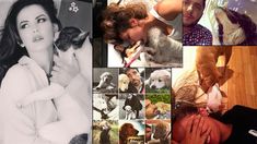 Los famosos celebran el Día del Animal en las redes sociales con emotivos mensajes Los famosos celebran el Día del Animal en las redes sociales con emotivos mensajes