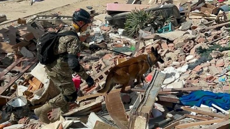 Terremoto en Venezuela: la historia de Bart
