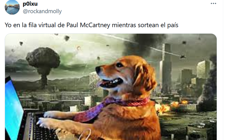 El debate de la Ley Bases en el Senado generó una variada cantidad de memes en las redes sociales.