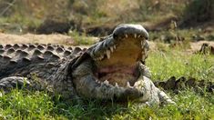 El río donde se encontraba la víctima era utilizado para bañarse y lavar ropa. El río donde se encontraba la víctima era utilizado para bañarse y lavar ropa.