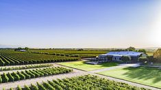 Una de las bodegas más impactantes de la provincia de Mendoza. Una de las bodegas más impactantes de la provincia de Mendoza.