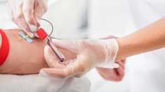 La actividad se realizará en el marco del Día Nacional del Donante de Médula Ósea, celebrado el lunes pasado. La actividad se realizará en el marco del Día Nacional del Donante de Médula Ósea, celebrado el lunes pasado.