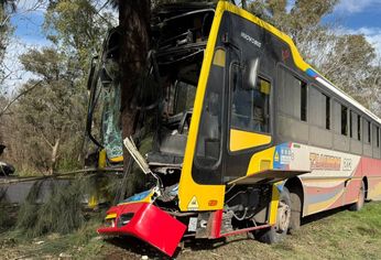 Así quedó el colectivo de la línea 202 que no logró esquivar el Ford Ka en Berisso.