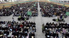 El estudiante denunciado por copiarse no se presentó este jueves rendir el nuevo examen. El estudiante denunciado por copiarse no se presentó este jueves rendir el nuevo examen.