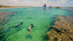 Las piscinas naturales de Porto de Galinhas permiten observar peces de colores en aguas cálidas y cristalinas. Las piscinas naturales de Porto de Galinhas permiten observar peces de colores en aguas cálidas y cristalinas.