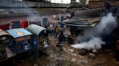 Qué es y cómo se transmite Chandipura, el virus que ya mató más de 50 personas en India. Qué es y cómo se transmite Chandipura, el virus que ya mató más de 50 personas en India.