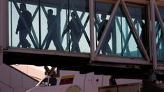 Cinco de los deportados tienen antecedentes penales. Cinco de los deportados tienen antecedentes penales.