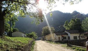 Entre sus principales atractivos llama la atención el famoso Bosque energético.