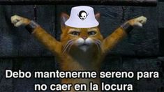 Los fans no tardaron en crear miles de memes por la venta de entradas de Los Piojos. Los fans no tardaron en crear miles de memes por la venta de entradas de Los Piojos.