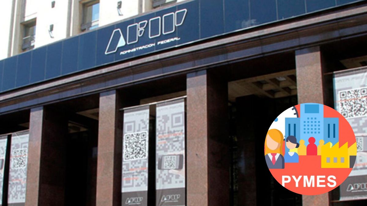 Afip Extendió El Plazo Para Presentar Bienes Personales De Mypimes Hasta Cuándo Es 9445