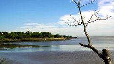 Alberga cinco ambientes naturales distintos: juncal y matorral ribereño, selva marginal, bañados, talar y pastizal, Alberga cinco ambientes naturales distintos: juncal y matorral ribereño, selva marginal, bañados, talar y pastizal,