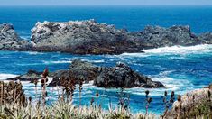 Este lugar queda junto a la costa del Pacífico. Este lugar queda junto a la costa del Pacífico.