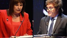 El video viral de Patricia Bullrich sobre Javier MIlei. El video viral de Patricia Bullrich sobre Javier MIlei.