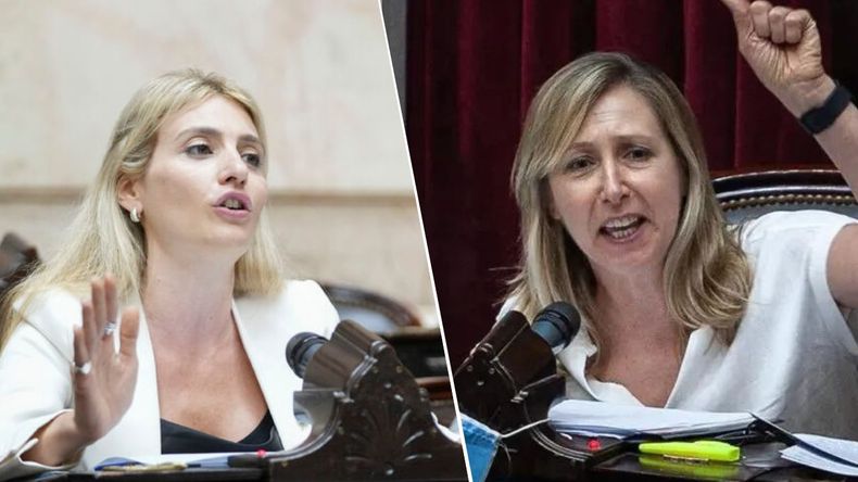 Tenso cruce entre una diputada del PRO y Myriam Bregman en Diputados: Nunca van a ser Gobierno