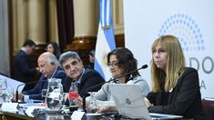 La iniciativa define a la muerte perinatal como aquellas que se producen entre la semana 22 y hasta 7 días después del nacimiento de la criatura.