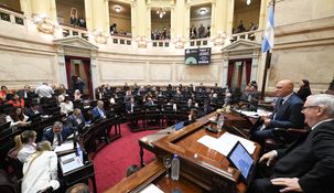 Con la media sanción del Senado, ahora el proyecto deberá tratarse en Diputados.