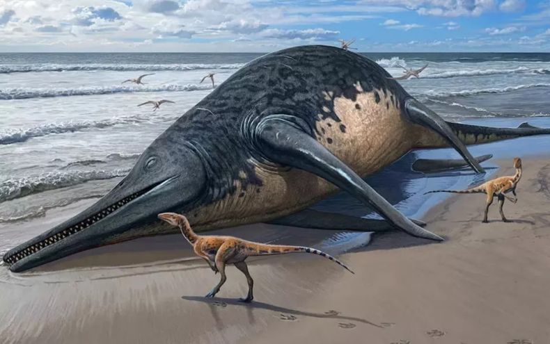 Así sería el Ictiosaurio, que habitó en la Tierra.
