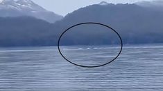 Turistas grabaron la aparición del Nahuelito en un lago de Neuquén. Turistas grabaron la aparición del Nahuelito en un lago de Neuquén.