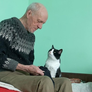 El gato permanece cerca de su dueño, un anciano con Alzheimer, en un video que emocionó a miles de usuarios en X.