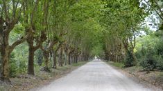 La escapada cerca de Buenos Aires a un pueblo con pastelería casera. La escapada cerca de Buenos Aires a un pueblo con pastelería casera.