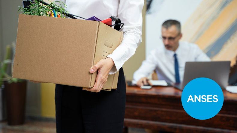 Esta prestación económica mensual está dirigida a empleados en relación de dependencia que hayan perdido su trabajo sin voluntad propia.