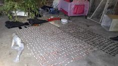 Los últimos datos sobre la investigación de la cocaína adulterada Los últimos datos sobre la investigación de la cocaína adulterada