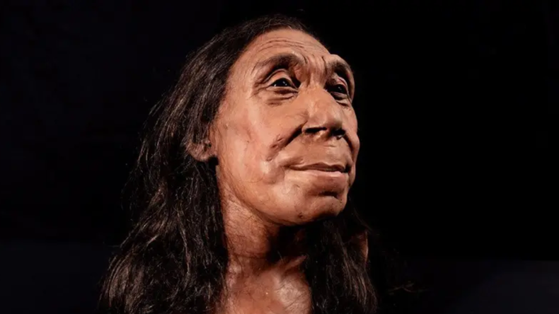 Científicos logran reconstruir el rostro de una mujer neardental de 40 años.&nbsp;