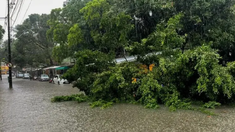 Al menos siete personas murieron por inundaciones y aludes en Pernambuco. Al menos siete personas murieron por inundaciones y aludes en Pernambuco.