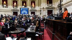 Diputados aprobó el proyecto que autoriza el ingreso y salida de tropas para ejercicios militares