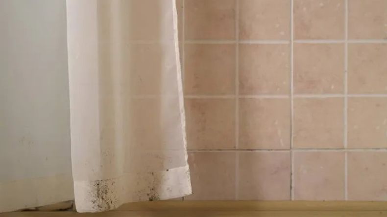 Cómo limpiar la cortina de la ducha del baño
