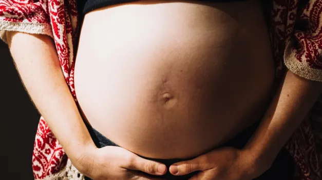 La Ley Ómnibus de Milei modifica la Ley del Mil Dias