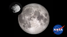 La NASA prevé que este CubeSat viaje junto a cuatro astronautas en un recorrido de diez días alrededor del satélite natural. La NASA prevé que este CubeSat viaje junto a cuatro astronautas en un recorrido de diez días alrededor del satélite natural.