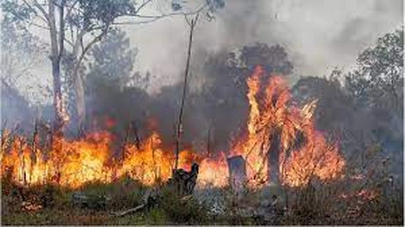 Chubut: un cigarrillo mal apagado provocó el incendio de 110 hectáreas