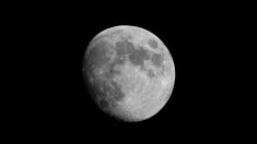 Descubrieron una nueva Luna que orbita al rededor de la Tierra. Descubrieron una nueva Luna que orbita al rededor de la Tierra.