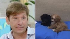 Gastón Trezeguet fue muy frío al revelar el futuro de los perritos en la casa. Gastón Trezeguet fue muy frío al revelar el futuro de los perritos en la casa.