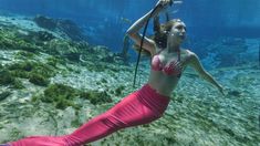 Te contamos todos los detalles de Gente sirena, un documental muy interesante de Netflix. Te contamos todos los detalles de Gente sirena, un documental muy interesante de Netflix.