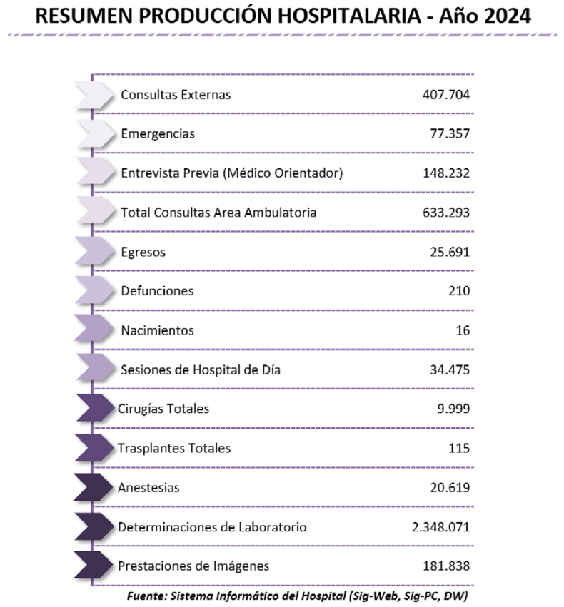 La actividad del Hospital Garrahan en 2024.