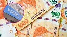 ANSES entrega un bono de $22.000 a los jubilados que cumplan con un requisito especial. ANSES entrega un bono de $22.000 a los jubilados que cumplan con un requisito especial.