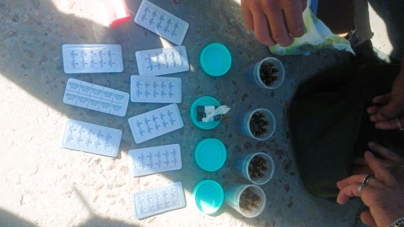 También se incautaron otras drogas como risperidona