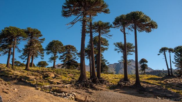 El pueblo de la Patagonia que te encandila con su belleza.