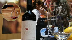 Celebraciones relacionadas con el vino en Mendoza