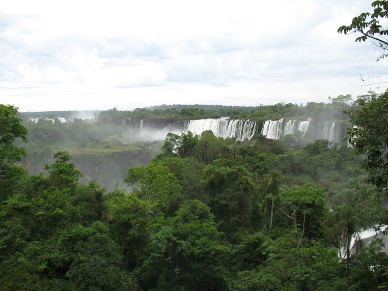 La selva misionera siempre ofrece diferentes actividades para realizar durante las vacaciiones.