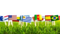 La respuesta generó un curioso debate en redes sociales. La respuesta generó un curioso debate en redes sociales.