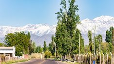 Chacras de Coria es el corazón bohemio y gastronómico de Luján de Cuyo, Mendoza.