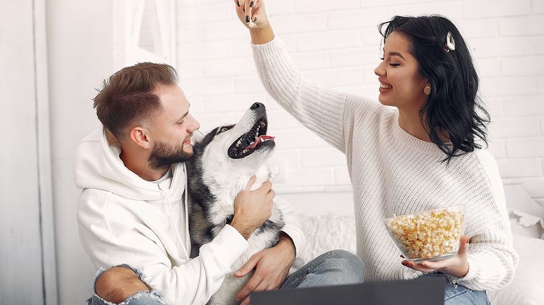 El impresionante sueldo millonario que ofrece una familia para cuidar a sus perros