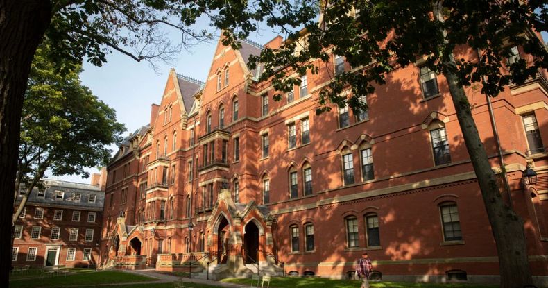 Un estudio de Harvard reveló cual es el aceite vegetal que puede alargarte la vida.