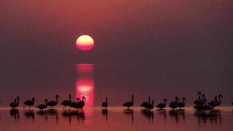 En Córdoba hay un pueblito con mar ideal para visitar en el verano 2026 que tiene los atardeceres dorados más lindos.