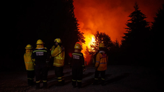 El fuego consumió alrededor de 1.600 hectáreas.