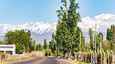 Para variar el itinerario habitual en tu visita a Mendoza, este pintoresco pueblo es una gran alternativa Para variar el itinerario habitual en tu visita a Mendoza, este pintoresco pueblo es una gran alternativa